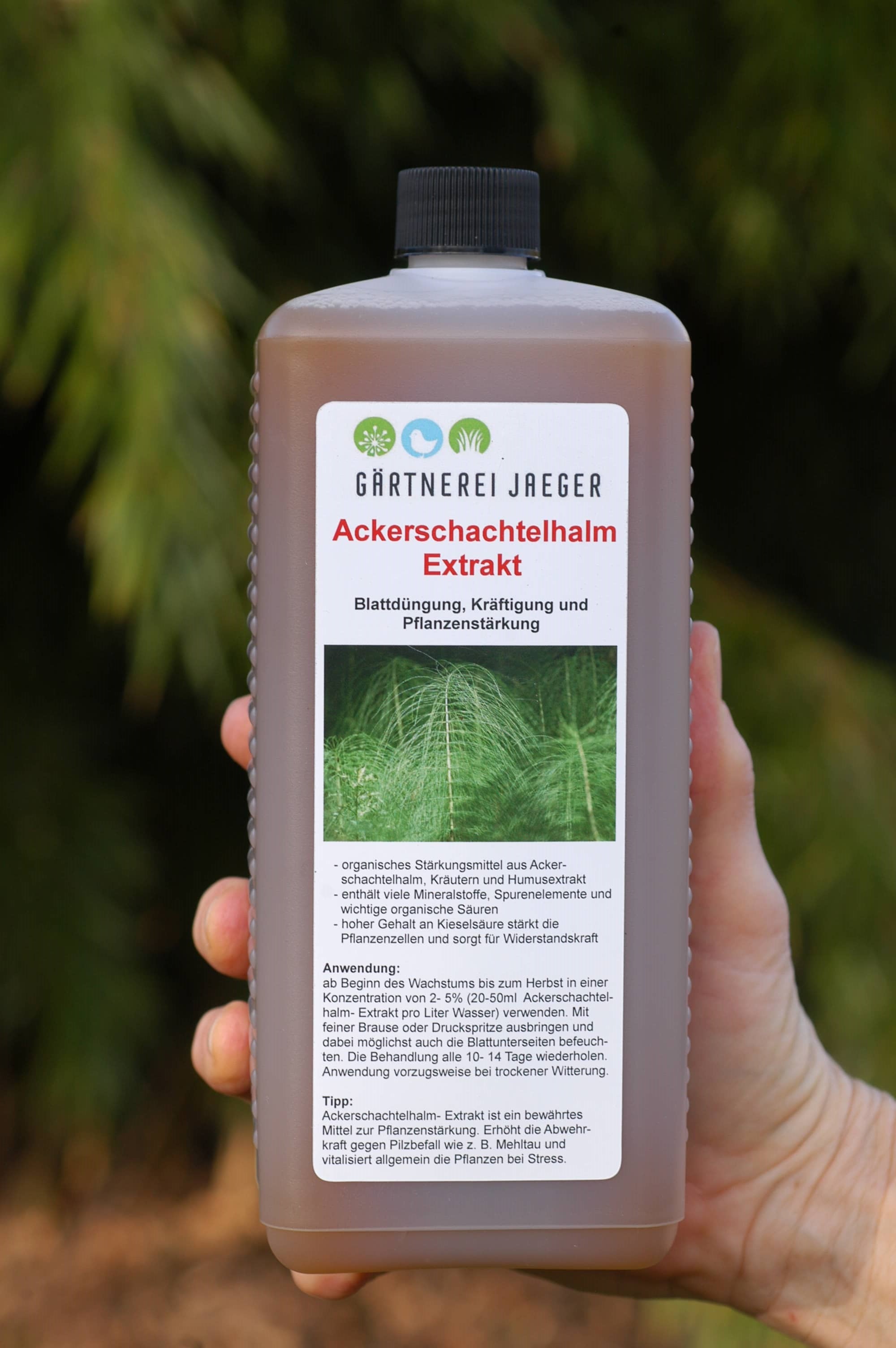Ackerschachtelhalm- Extrakt – Pflanzen Jaeger