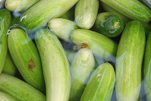 Gurke Russian Pickling