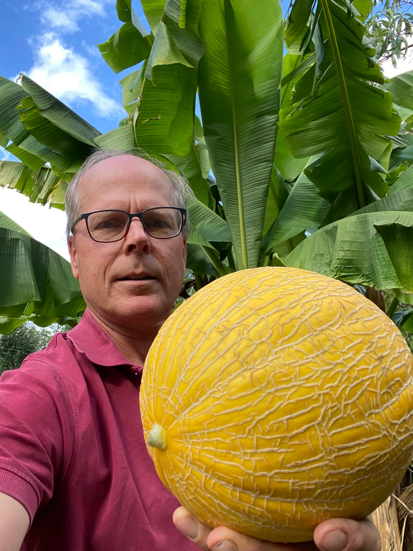 Honigmelone Xian