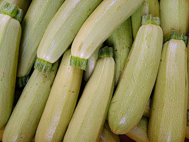Zucchini Alberello di Sarzana