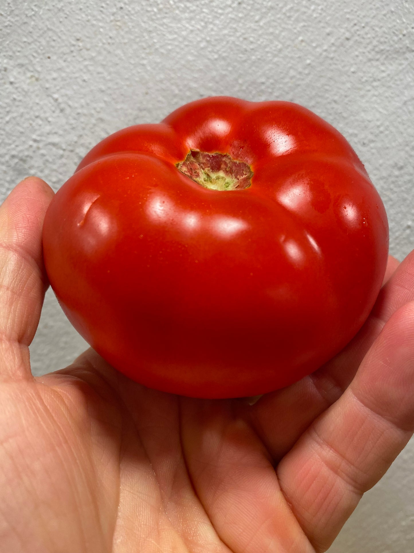 A Grappolo di Pizzo