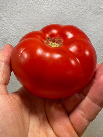 A Grappolo di Pizzo