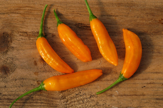 Aji Habanero