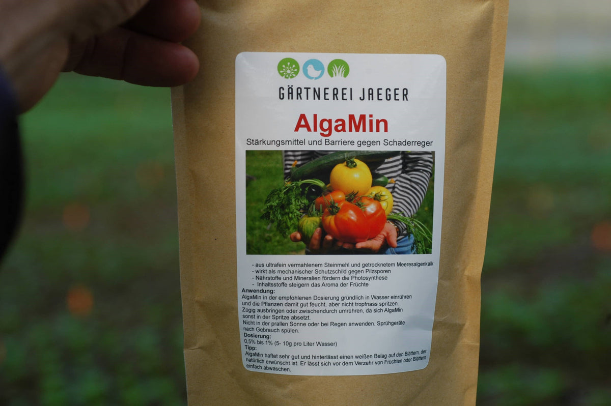 Algamin Algen- Mineralpulver AlgaMin – Pflanzen Jaeger