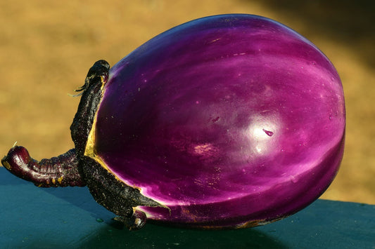 Aubergine Thai Round Violet