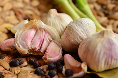 Knoblauch Rustisem, 3 Pflanzen