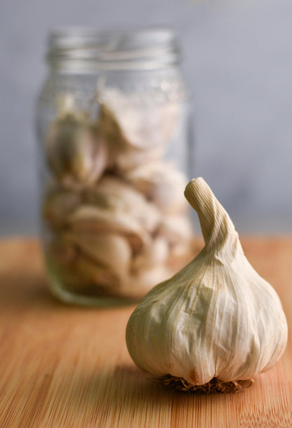 Knoblauch Rustisem, 3 Pflanzen