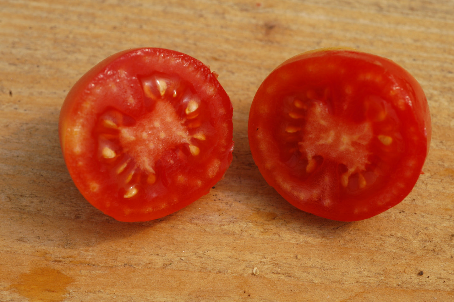 Pomodorino di Panarea