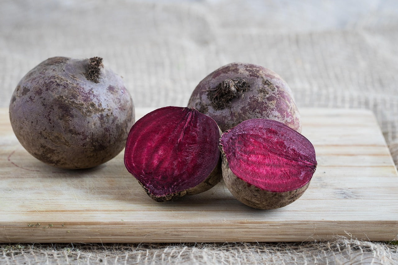 Rote Bete, 3 Pflanzen – Pflanzen Jaeger