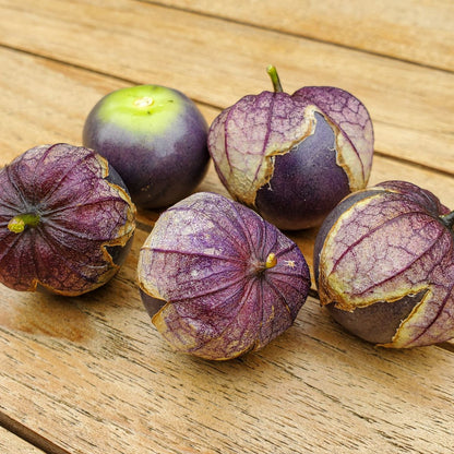 Tomatillo Purple